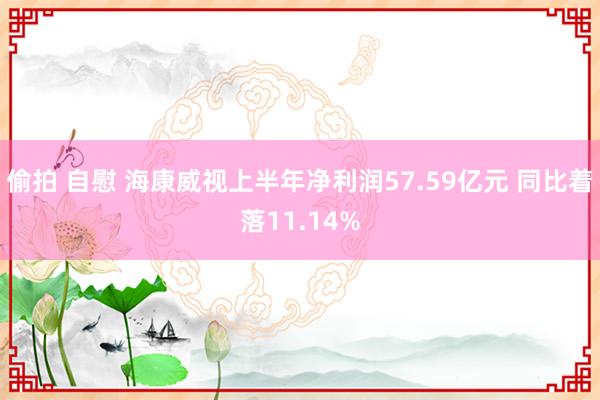 偷拍 自慰 海康威视上半年净利润57.59亿元 同比着落11.14%