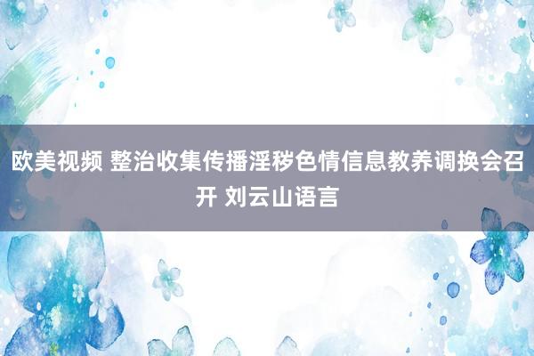 欧美视频 整治收集传播淫秽色情信息教养调换会召开 刘云山语言