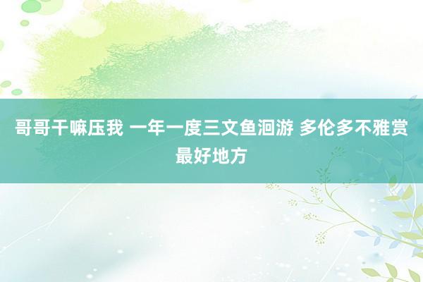 哥哥干嘛压我 一年一度三文鱼洄游 多伦多不雅赏最好地方