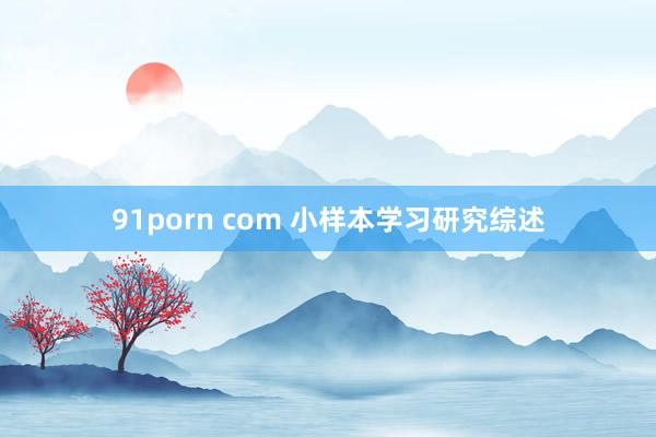 91porn com 小样本学习研究综述